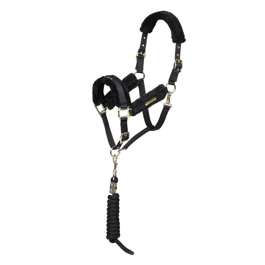 ARMA Logo Padded Headcollar with Lead Rope - Horse Headcollar Set