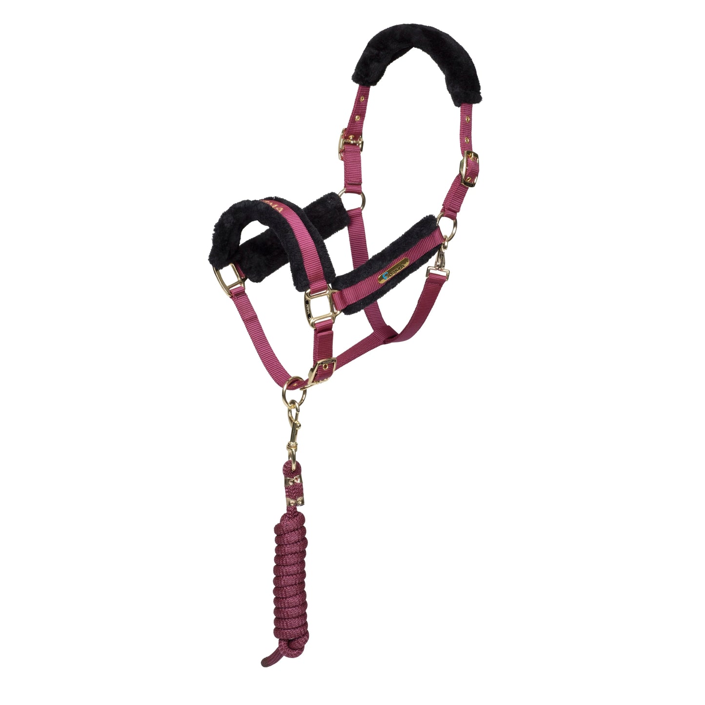 ARMA Logo Padded Headcollar with Lead Rope - Horse Headcollar Set