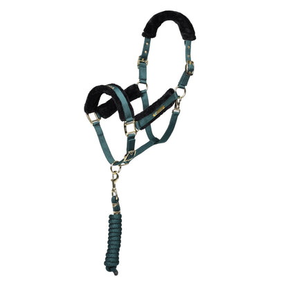 ARMA Logo Padded Headcollar with Lead Rope - Horse Headcollar Set