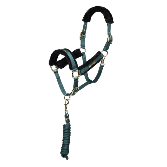 ARMA Logo Padded Headcollar with Lead Rope - Horse Headcollar Set