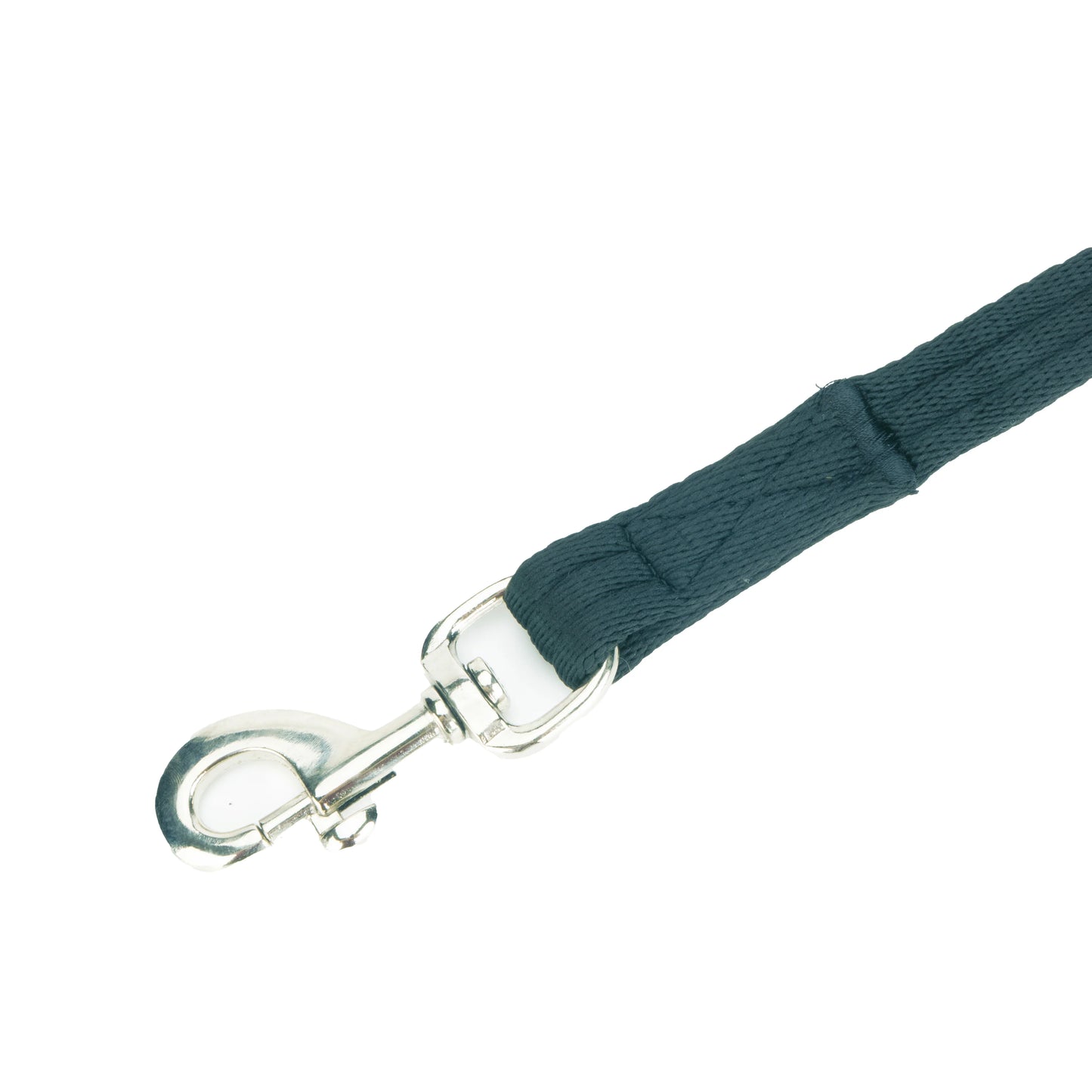 ARMA Cushion Web Lunge Line - Padded Horse Lunging Rein