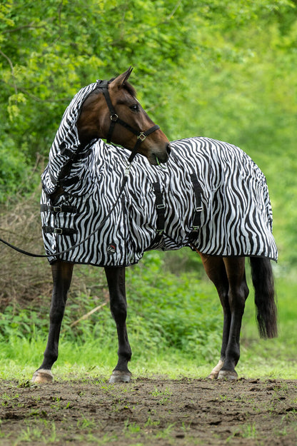 Zebra Fly Rug with Neck - Horse Fly Sheet