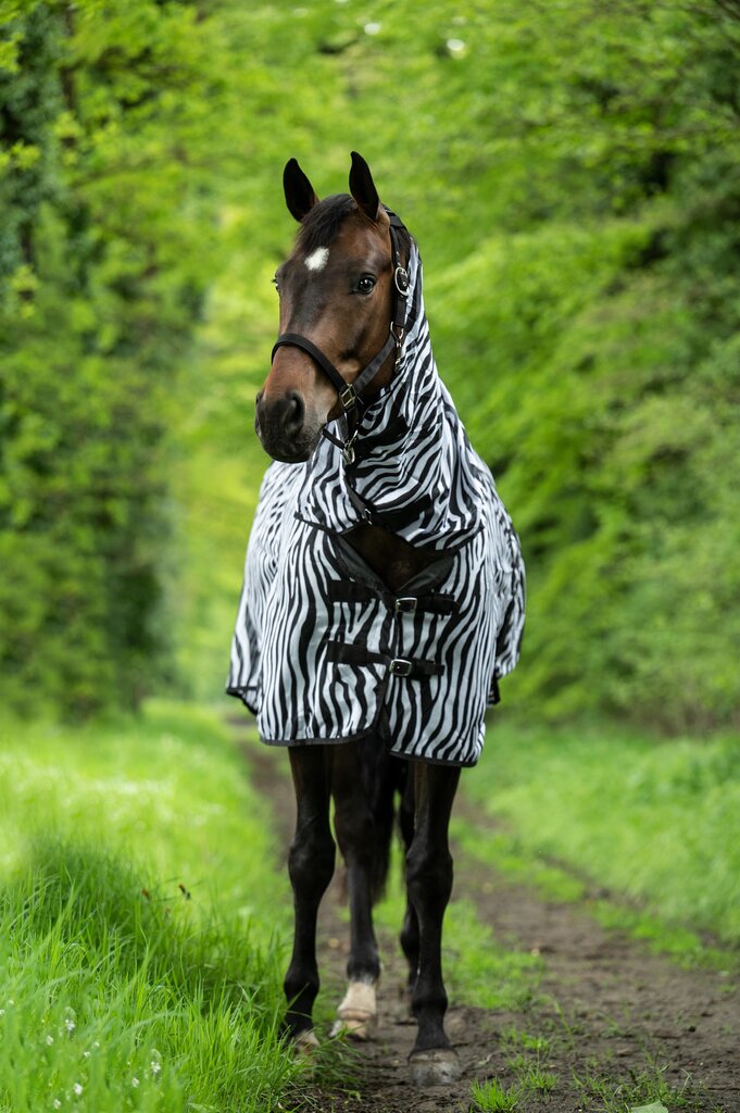 Zebra Fly Rug with Neck - Horse Fly Sheet