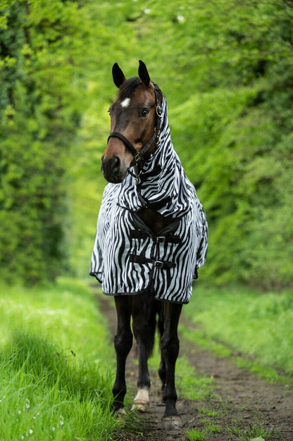 Zebra Fly Rug with Neck - Horse Fly Sheet