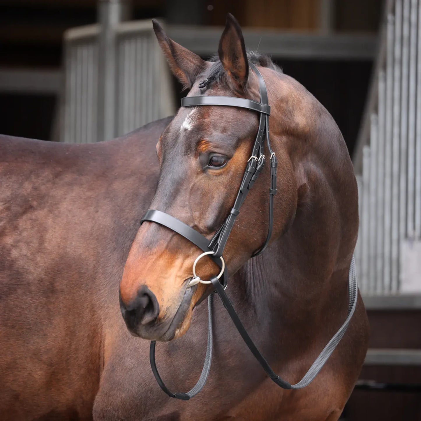 Shires Velociti GARA Plain Bridle - Leather Horse Bridle