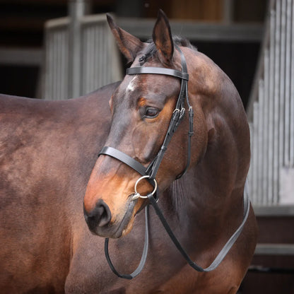 Shires Velociti GARA Plain Bridle - Leather Horse Bridle