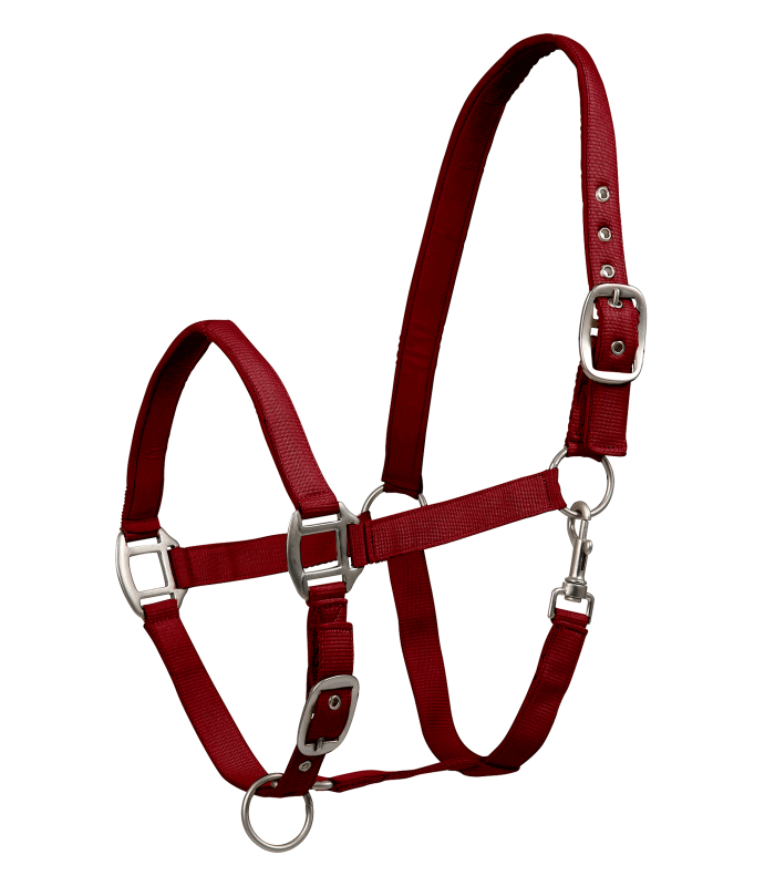 Perlon Satin Horse Halter - Headcollar