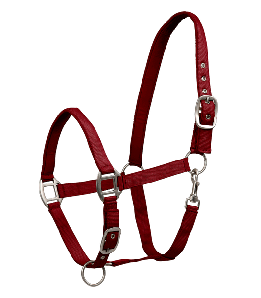 Perlon Satin Horse Halter - Headcollar