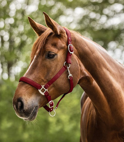 Perlon Satin Horse Halter - Headcollar