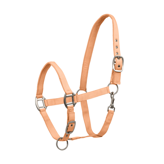 Perlon Satin Horse Halter - Headcollar