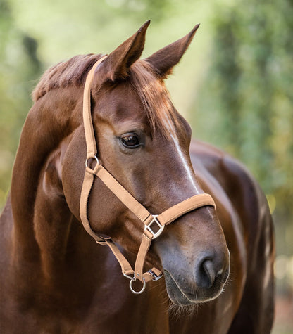 Perlon Satin Horse Halter - Headcollar