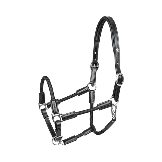 Nevada Waldhausen X-Line Leather Halter - Padded Horse Headcollar