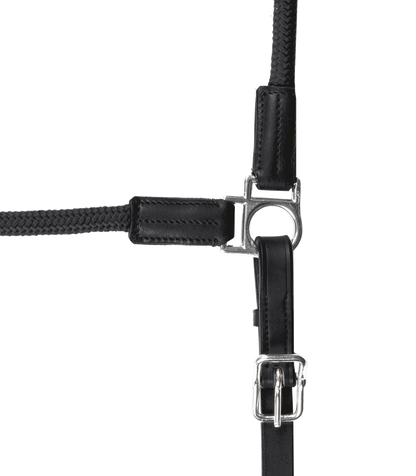 Nevada Waldhausen X-Line Leather Halter - Padded Horse Headcollar