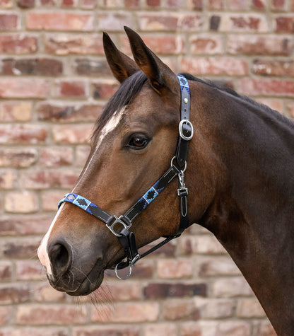 Polo Waldhausen X-Line Leather Halter - Padded Horse Headcollar