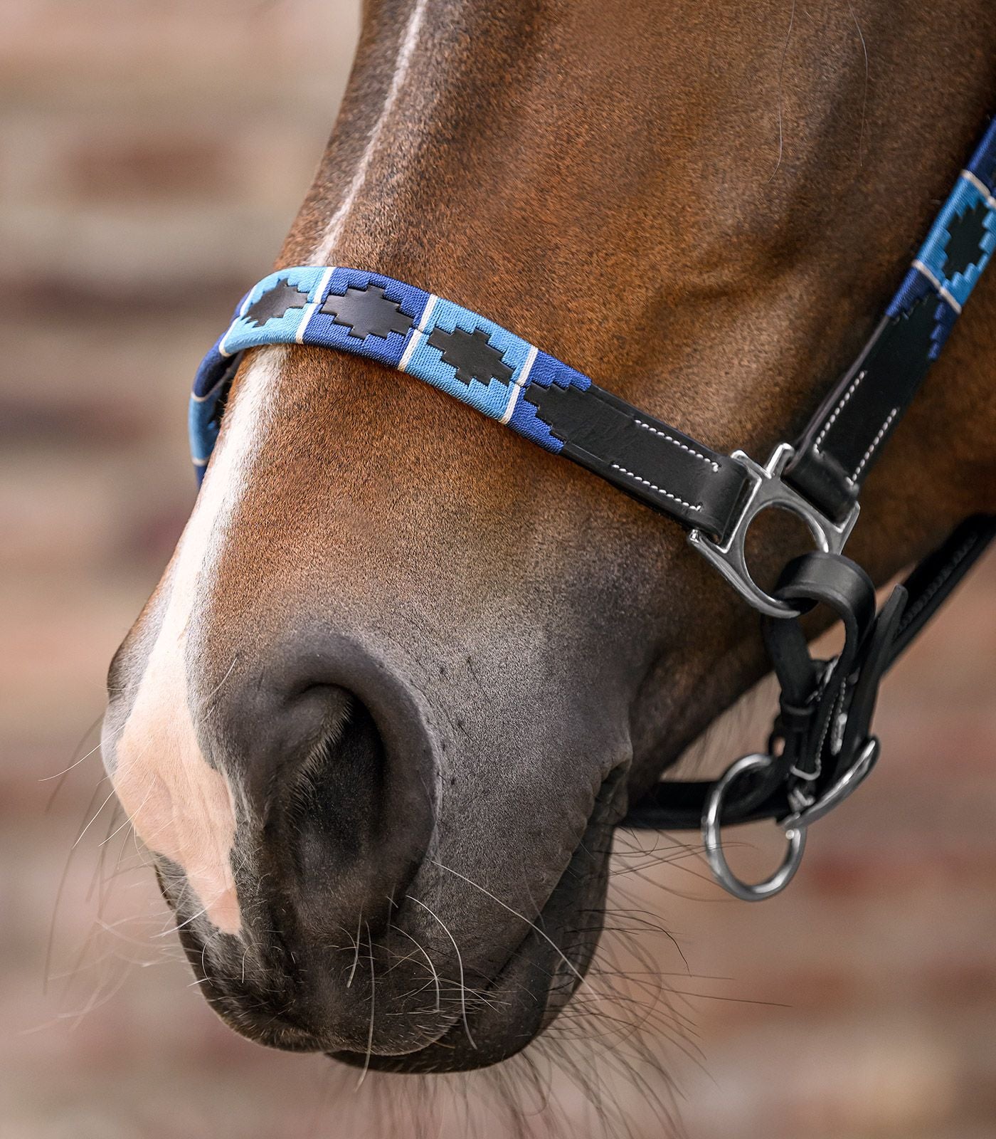 Polo Waldhausen X-Line Leather Halter - Padded Horse Headcollar