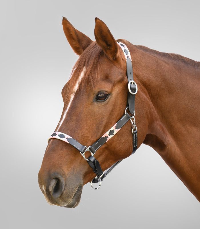 Polo Waldhausen X-Line Leather Halter - Padded Horse Headcollar