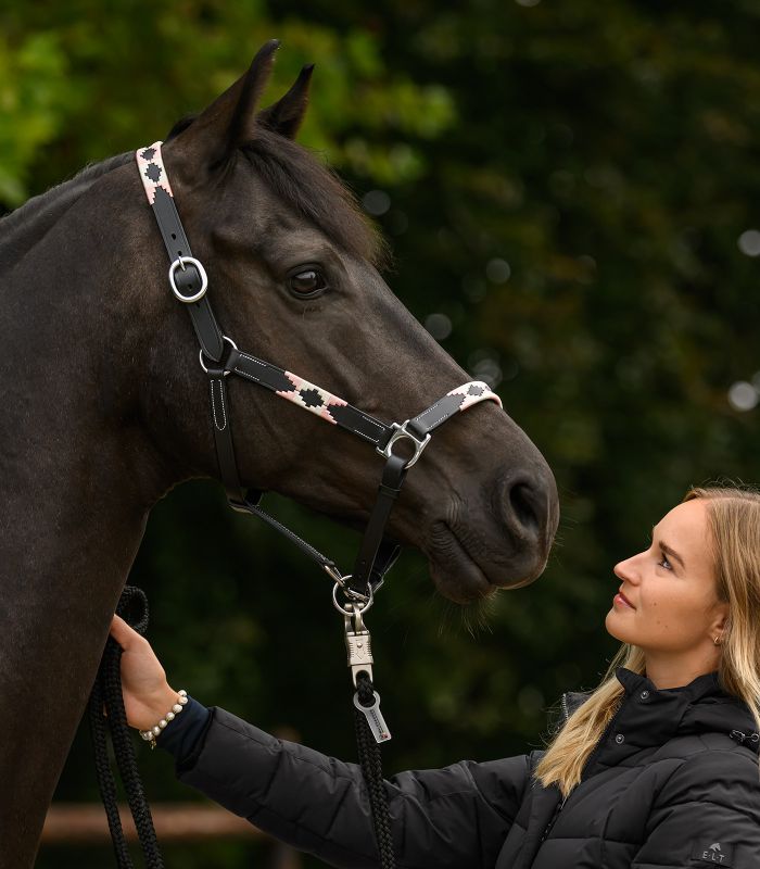 Polo Waldhausen X-Line Leather Halter - Padded Horse Headcollar
