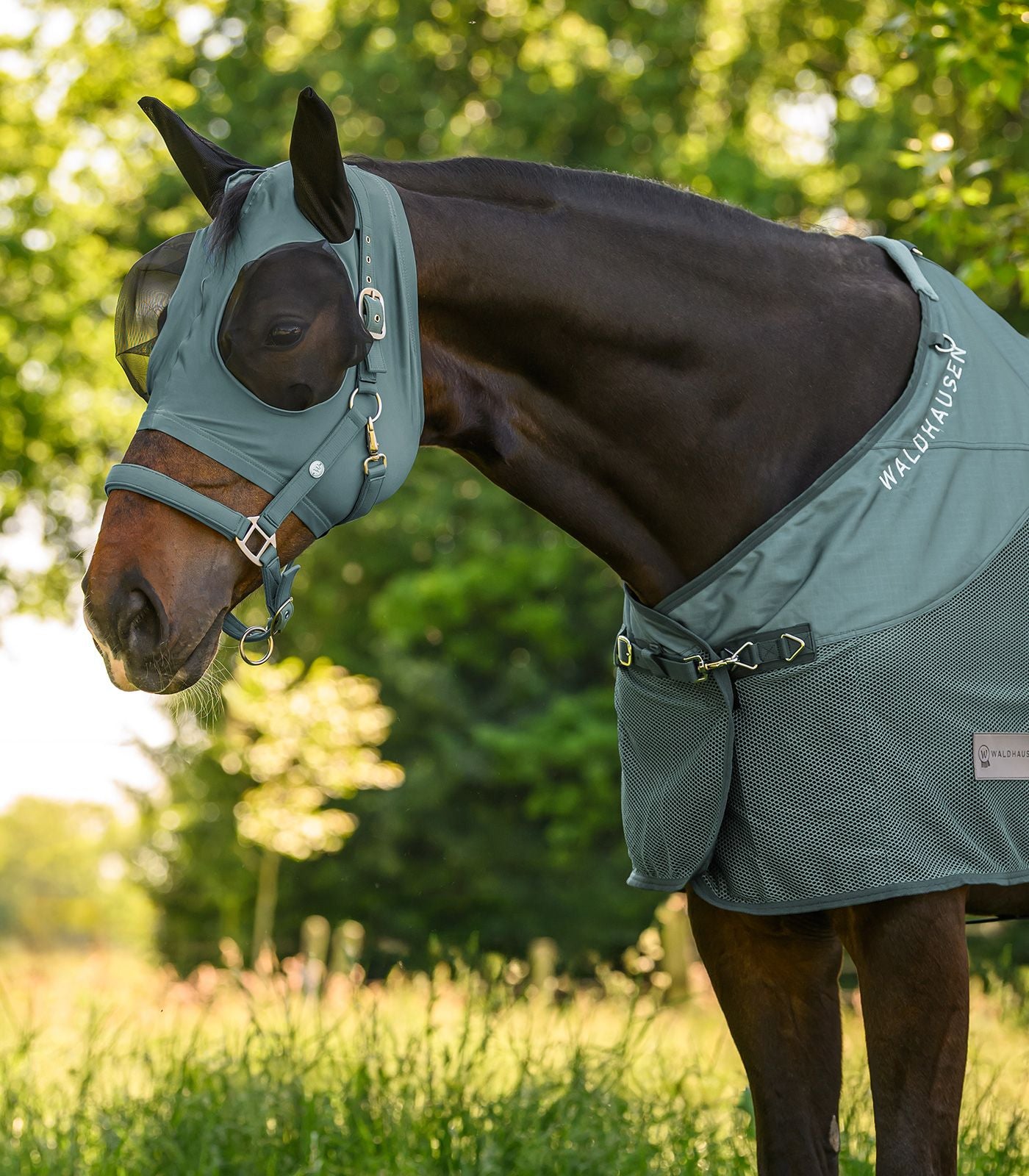 Trinidad Horse Halter - Adjustable Headcollar