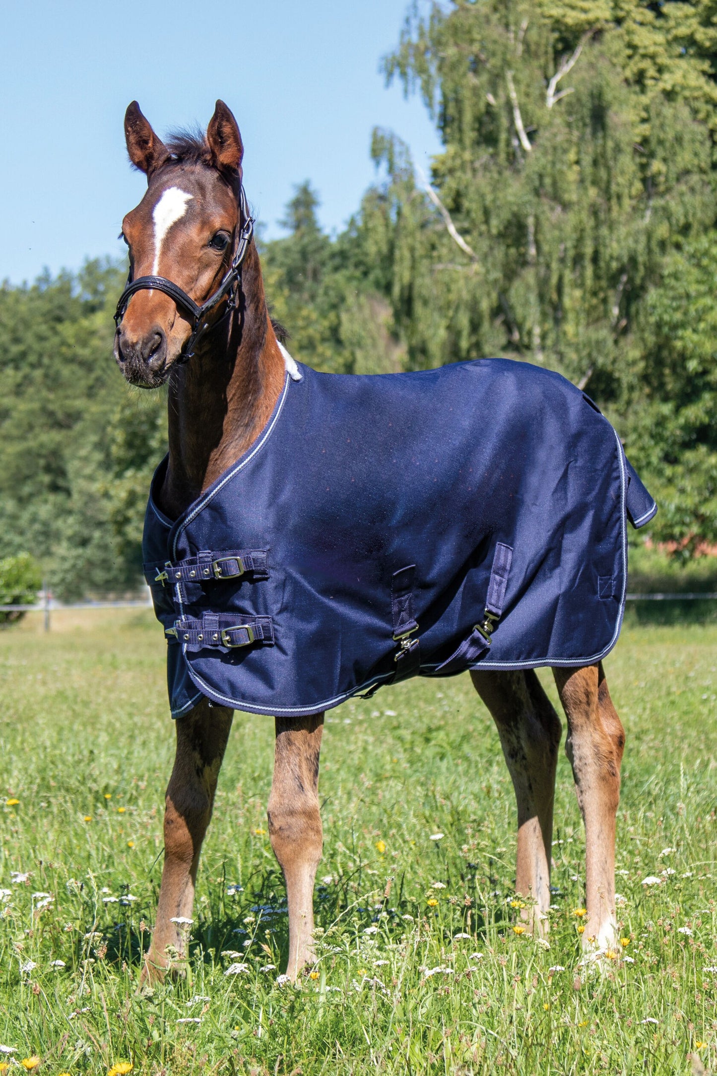 Professional Foal Rug with Polar Fleece Lining - Warm Foal Stable Rug