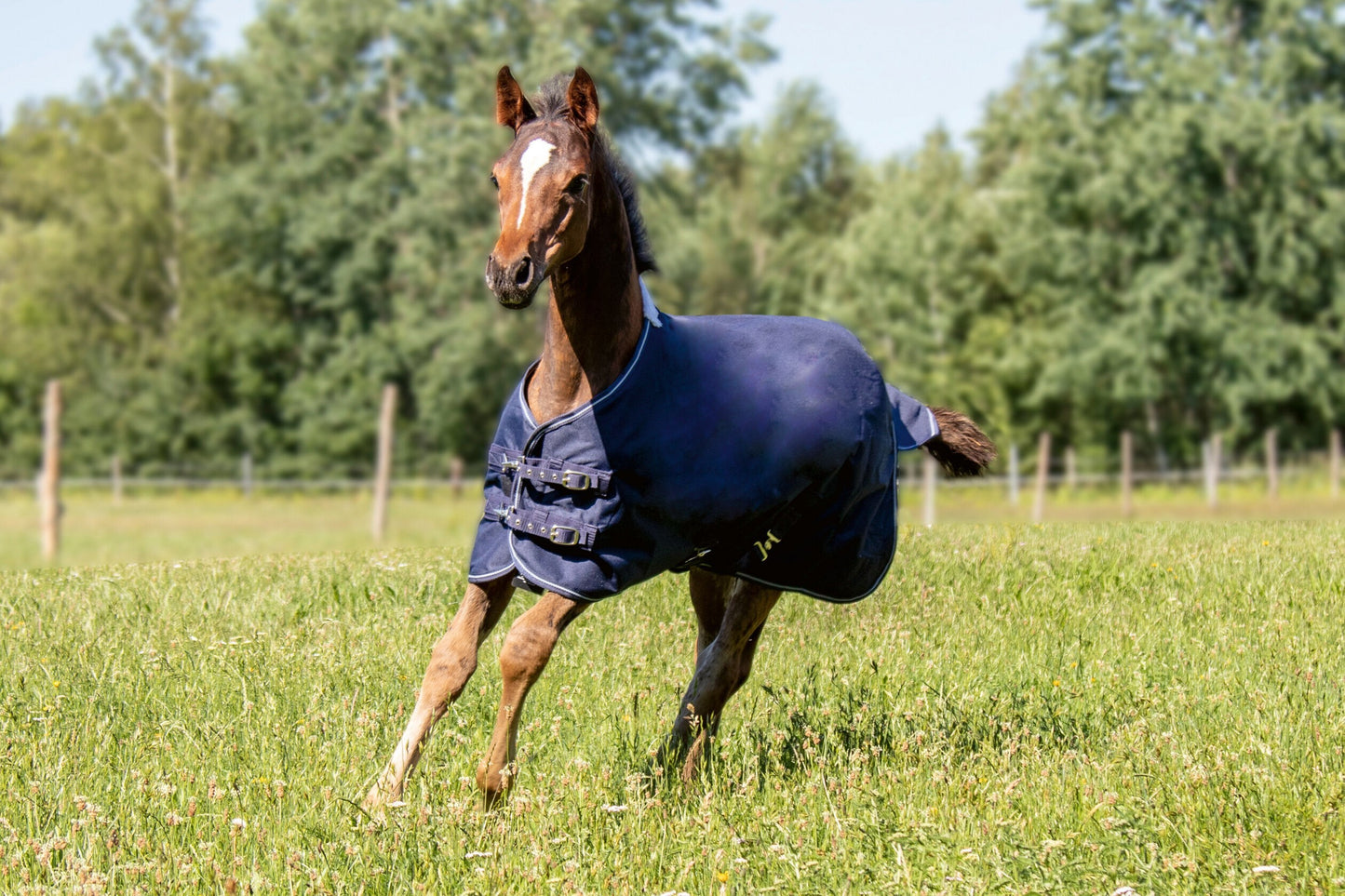 Professional Foal Rug with Polar Fleece Lining - Warm Foal Stable Rug