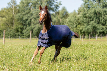 Professional Foal Rug with Polar Fleece Lining - Warm Foal Stable Rug