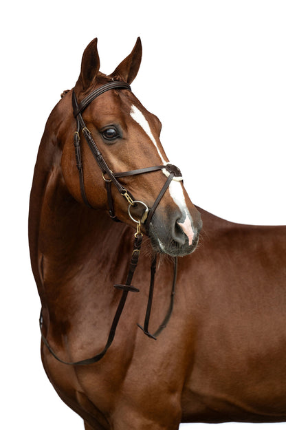 Mexican Style Bridle - Padded Grackle Noseband