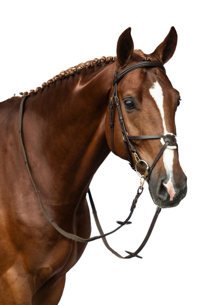 Mexican Style Bridle - Padded Grackle Noseband