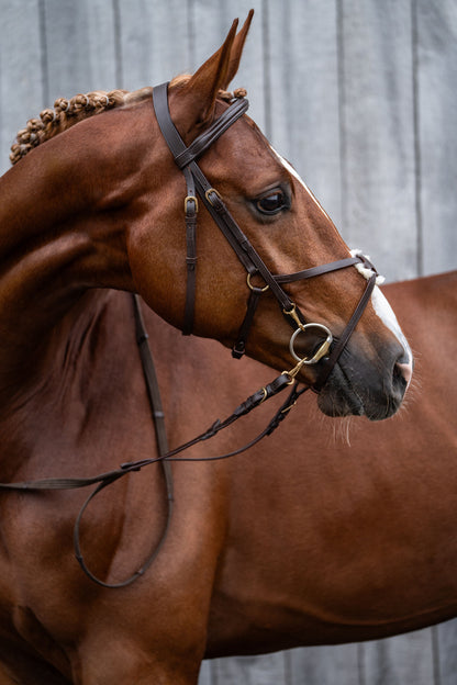 Mexican Style Bridle - Padded Grackle Noseband