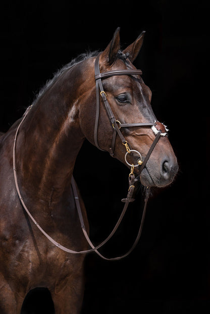 Mexican Style Bridle - Padded Grackle Noseband