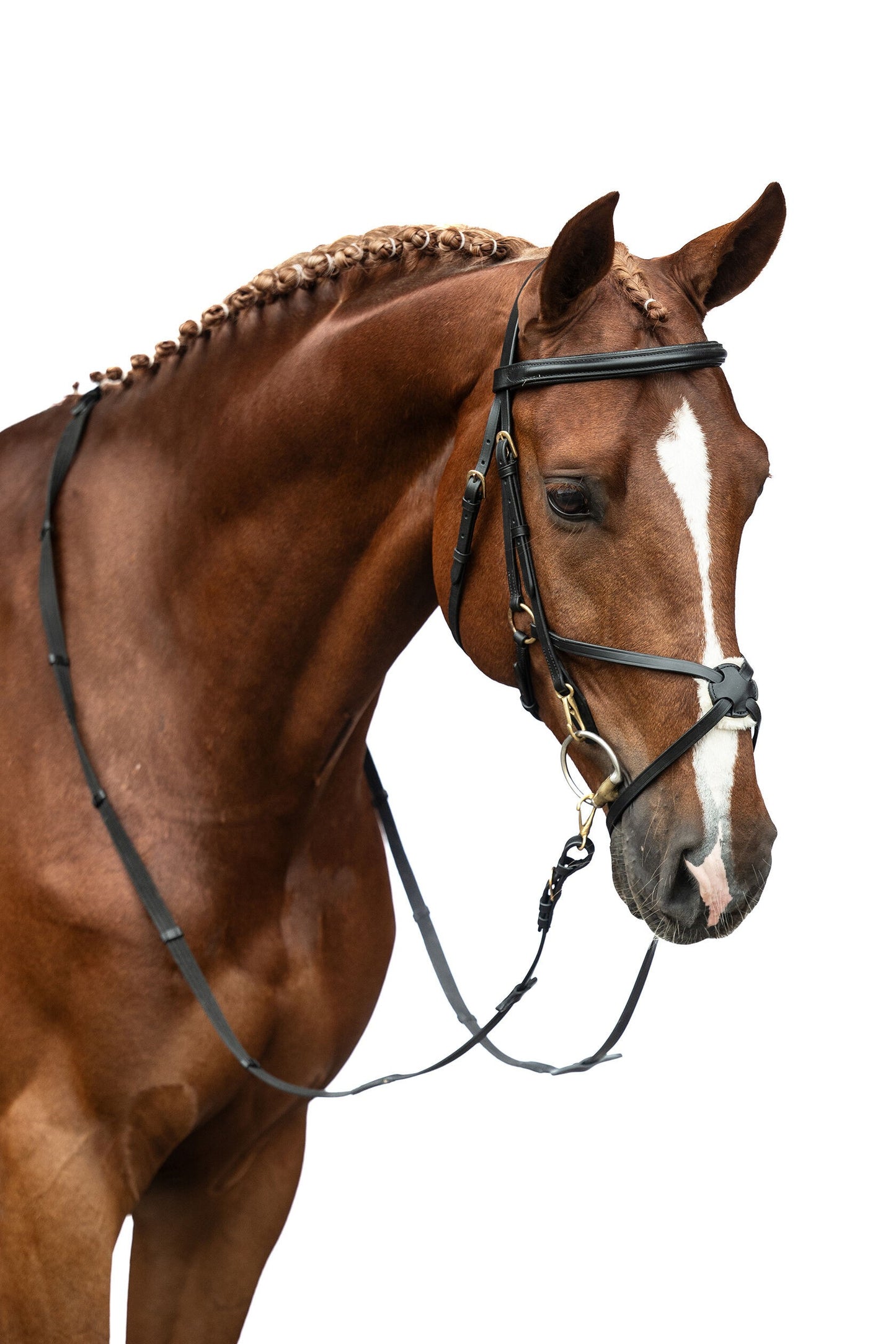 Mexican Style Bridle - Padded Grackle Noseband