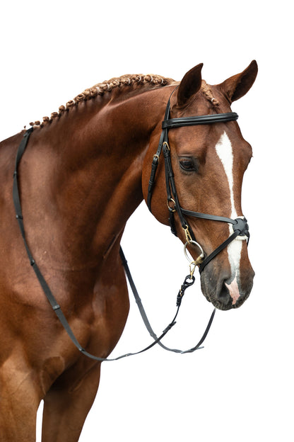 Mexican Style Bridle - Padded Grackle Noseband