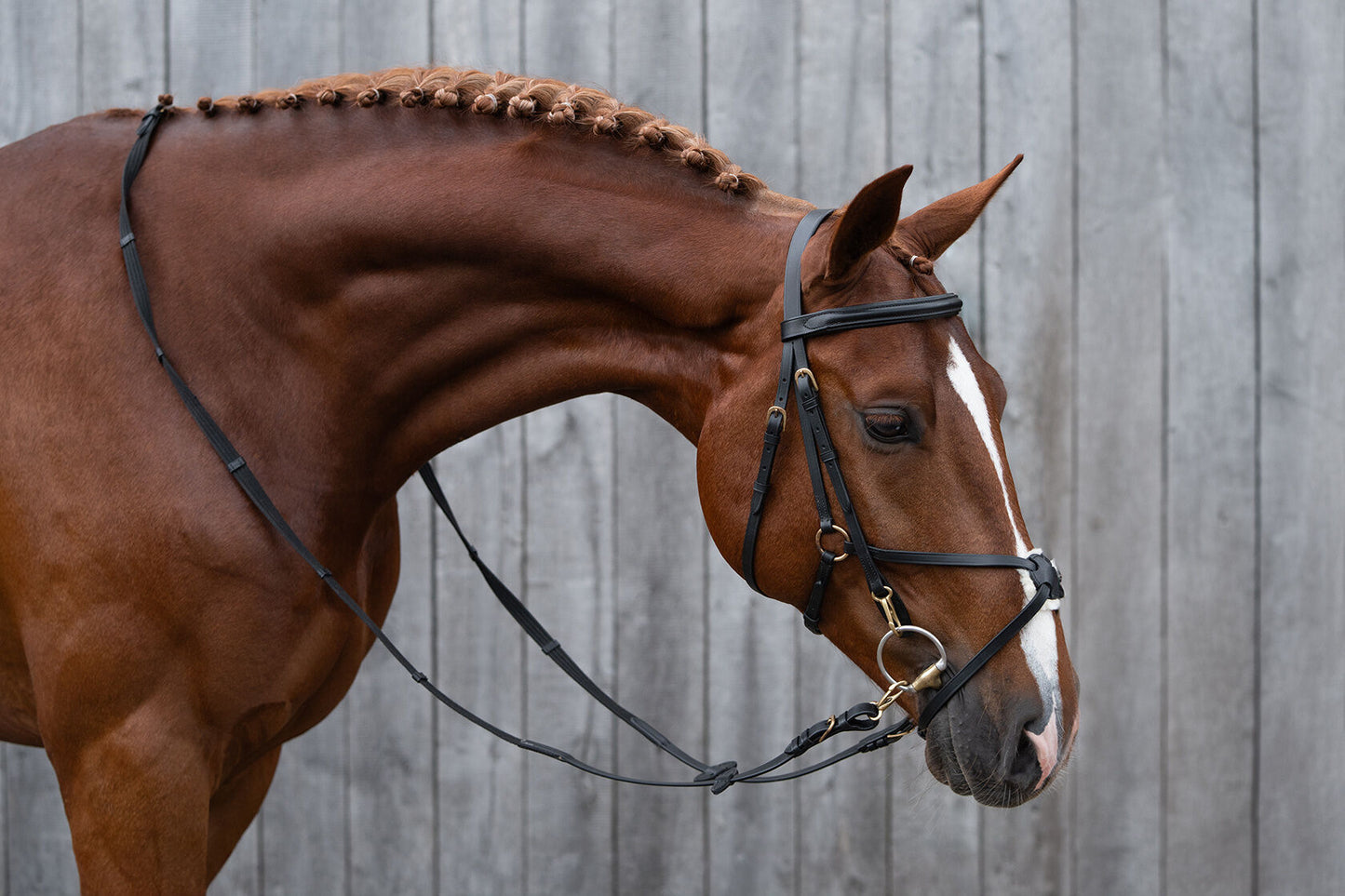 Mexican Style Bridle - Padded Grackle Noseband