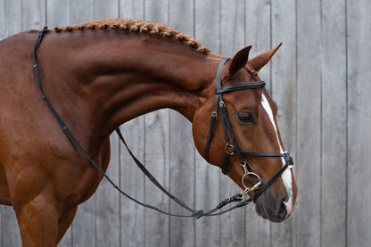 Mexican Style Bridle - Padded Grackle Noseband