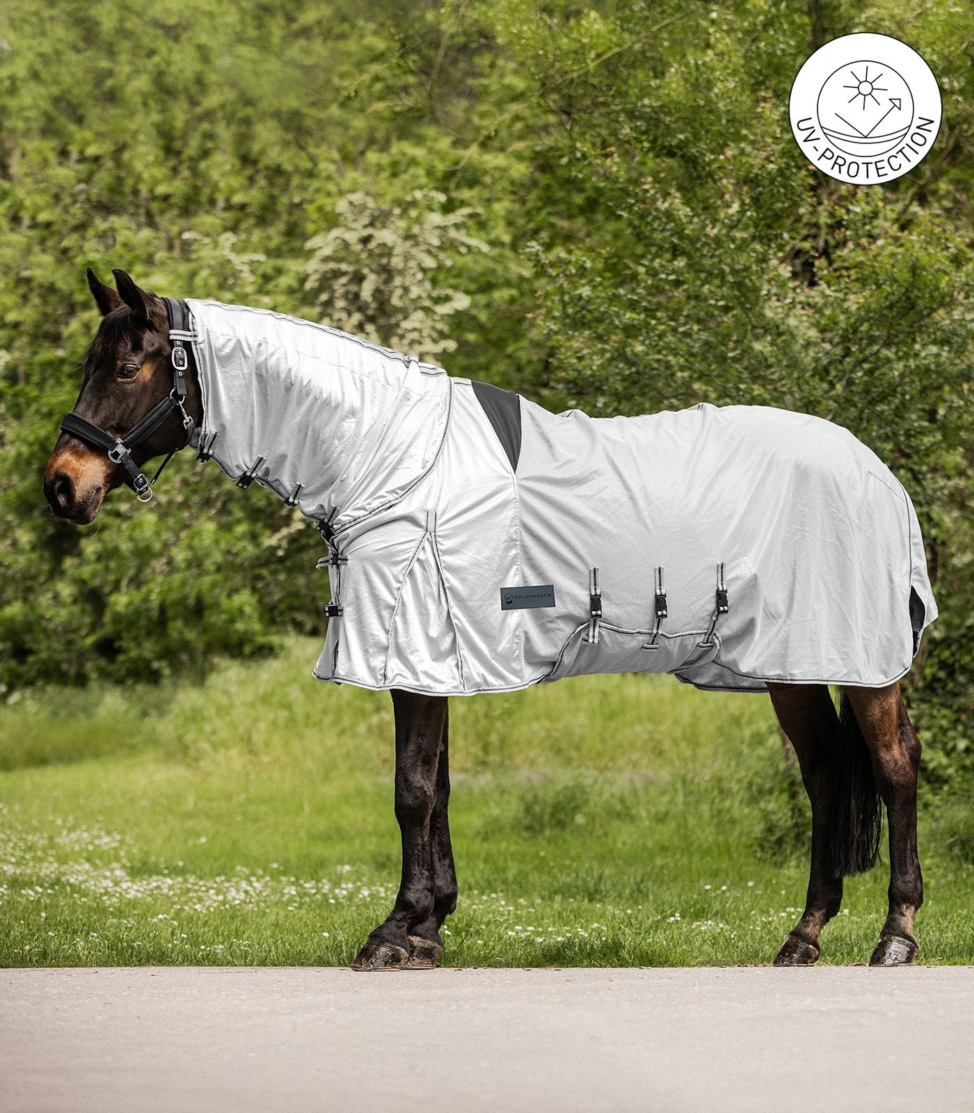 Protect Eczema Fly Rug - Sweet Itch & Insect Protection Rug