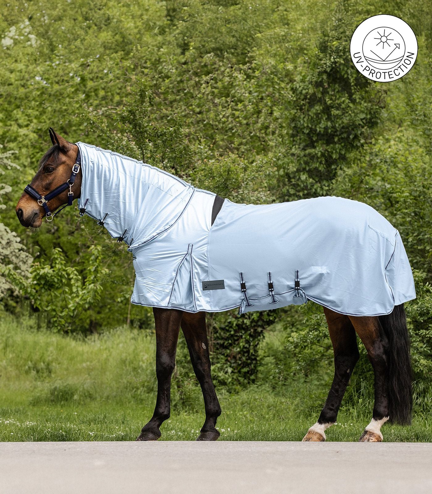 Protect Eczema Fly Rug - Sweet Itch & Insect Protection Rug