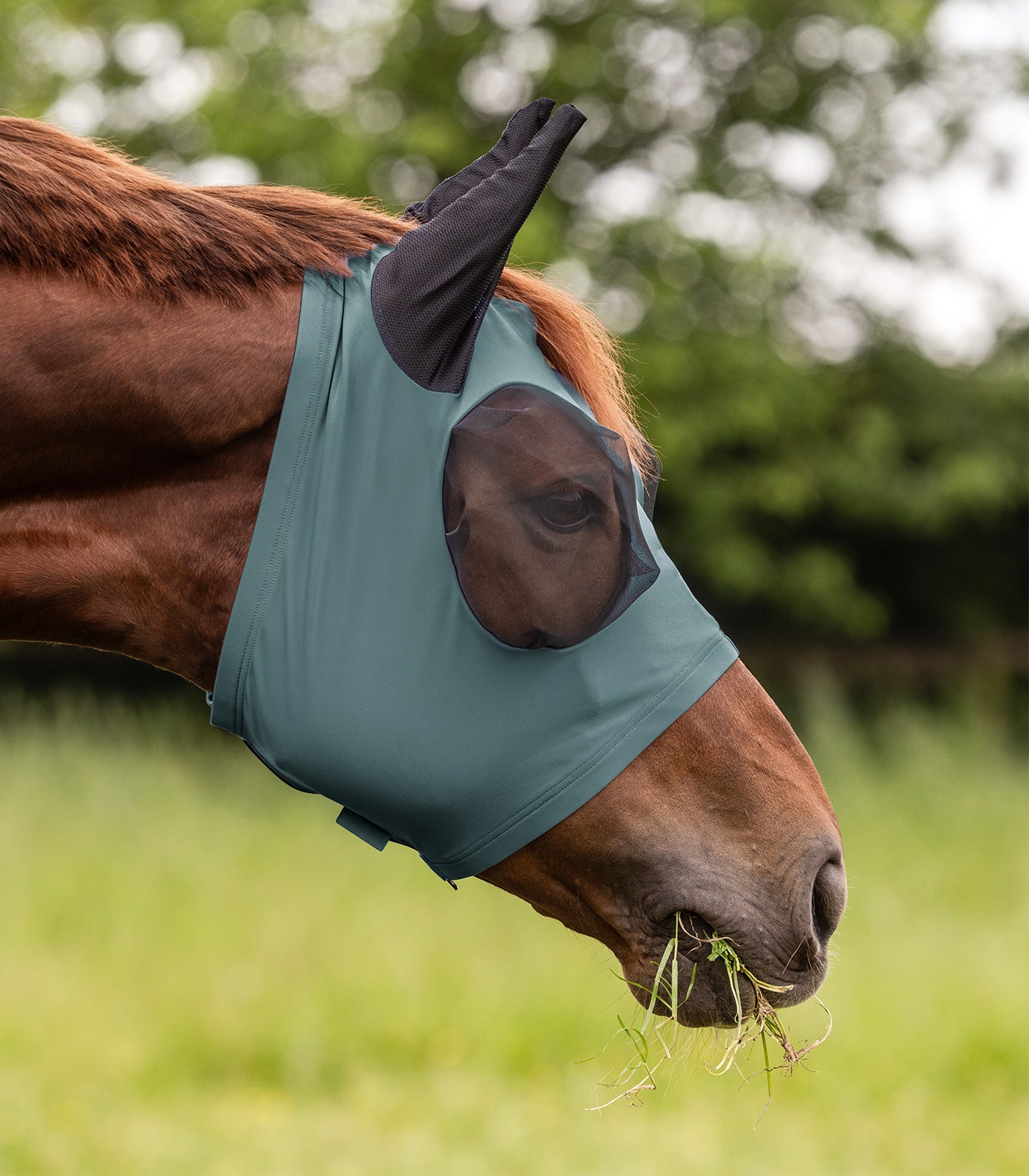 Puck Fly Mask - Horse Fly Protection Mask