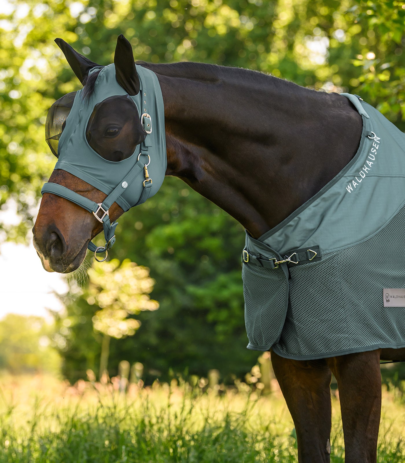 Puck Fly Mask - Horse Fly Protection Mask