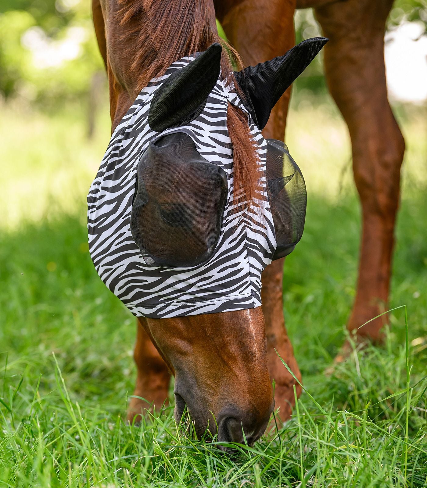 Puck Fly Mask Zebra - Horse Fly Protection Mask