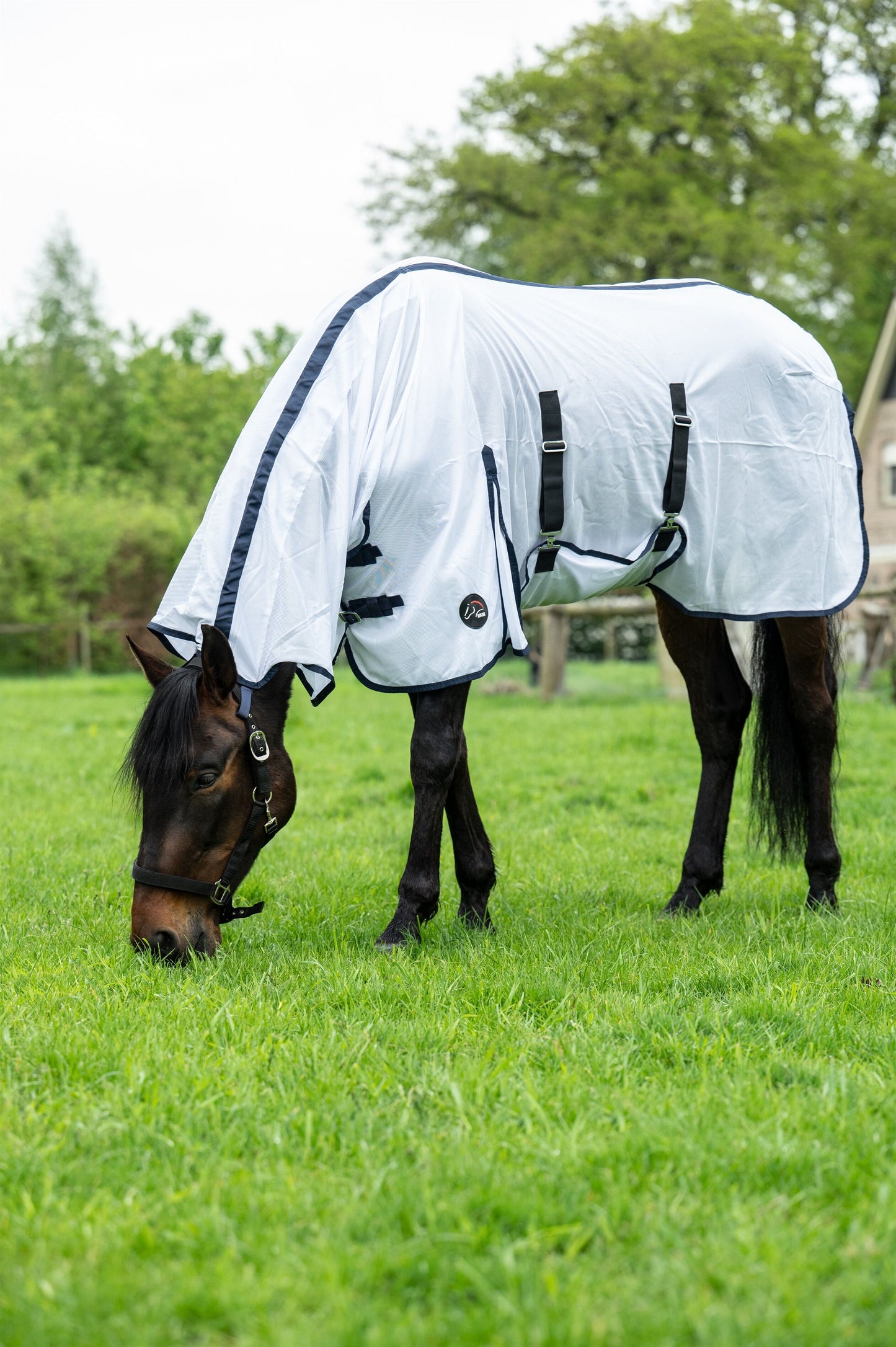 Lyon Fly Rug with Extended Neck - Horse Fly Sheet