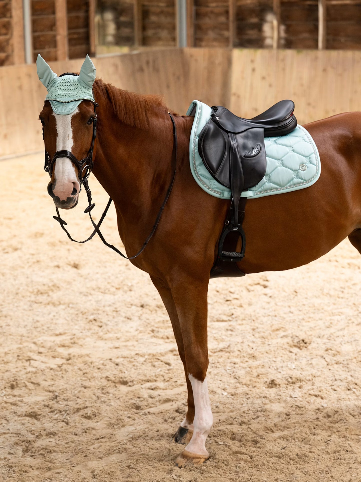 Jump Saddle Pad - Signature Collection