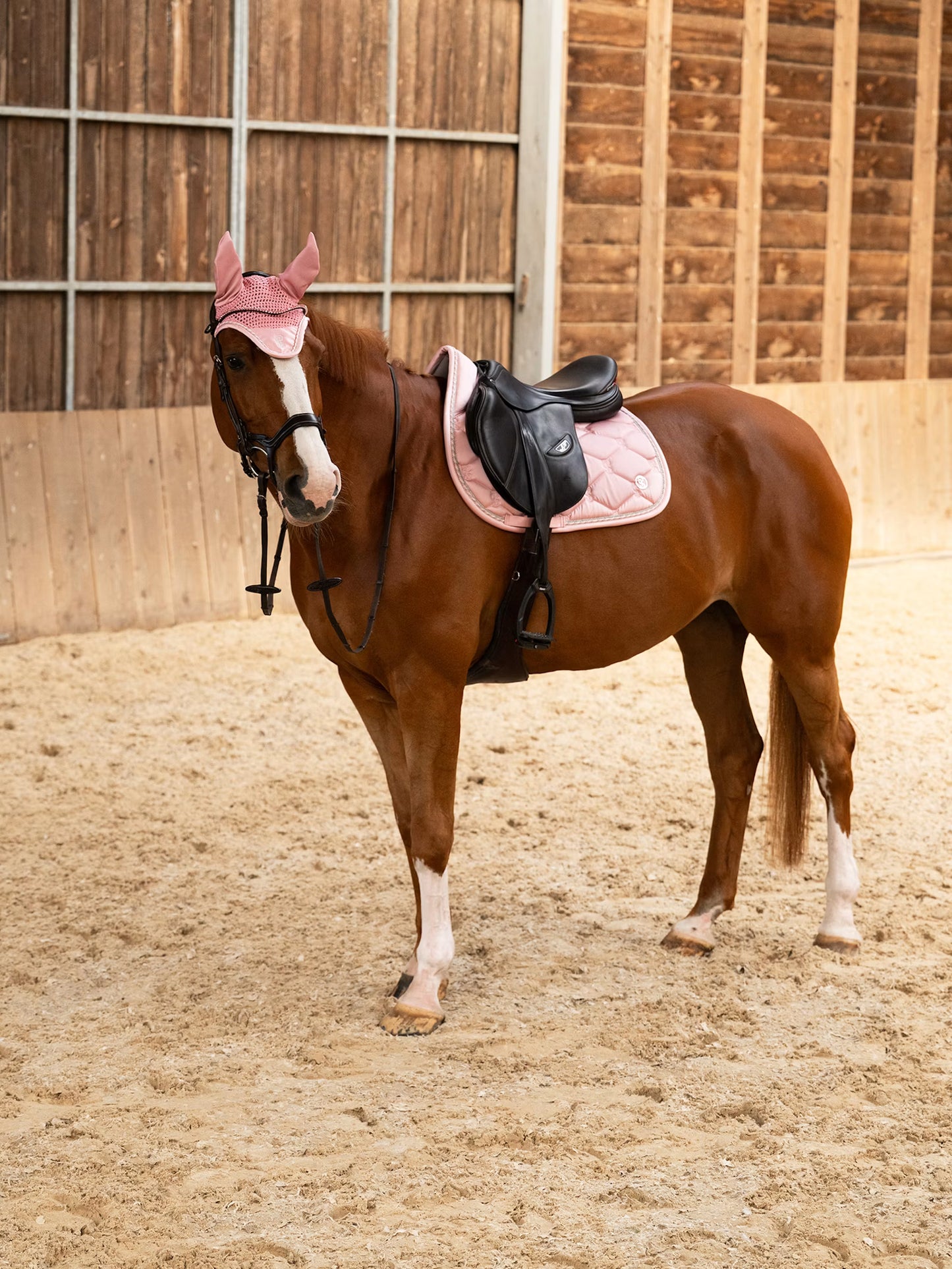 Jump Saddle Pad - Signature Collection