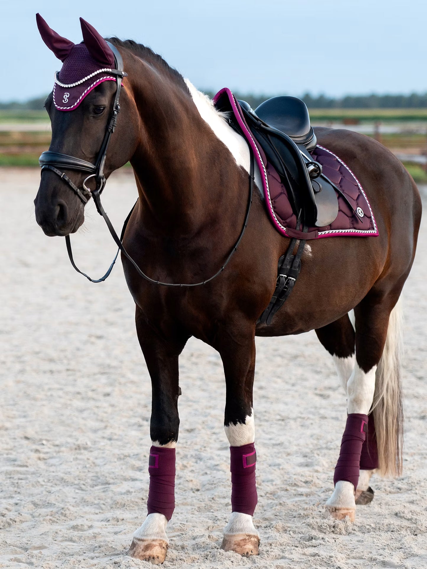 Dressage Saddle Pad - Signature Collection