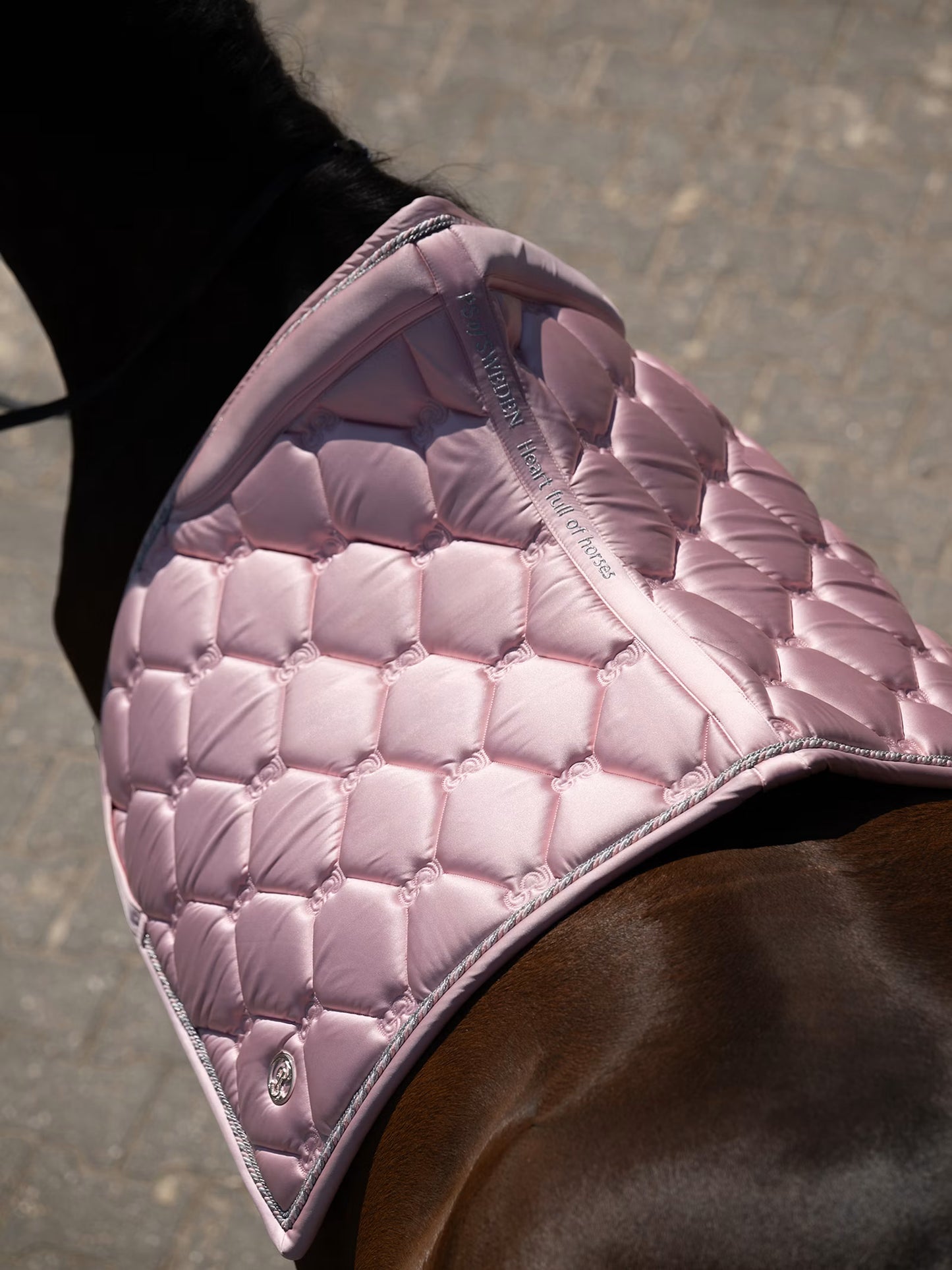Dressage Saddle Pad - Signature Collection