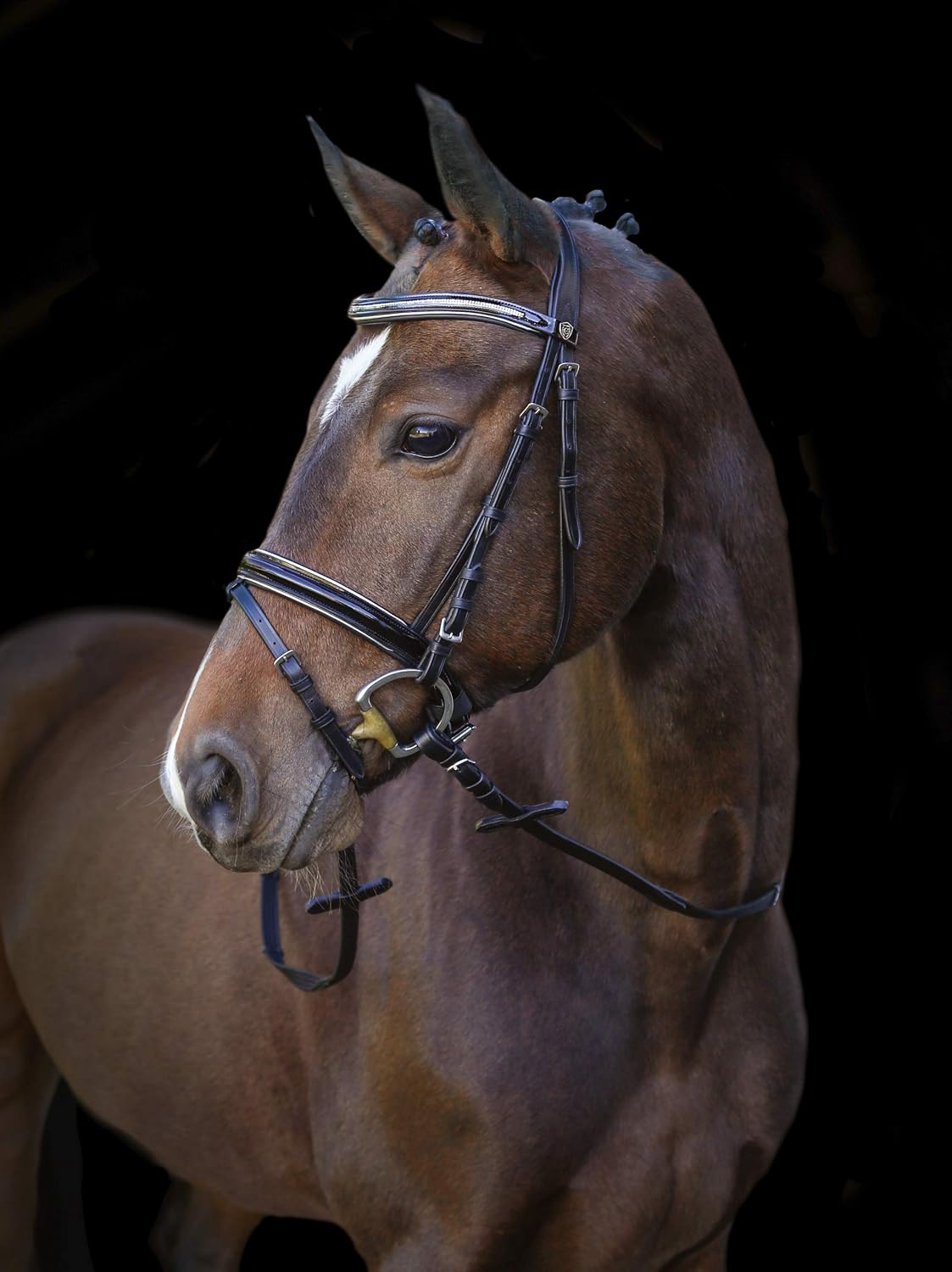 Covalliero Kingston Snaffle Bridle with Glitter