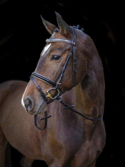 Covalliero Kingston Snaffle Bridle with Glitter