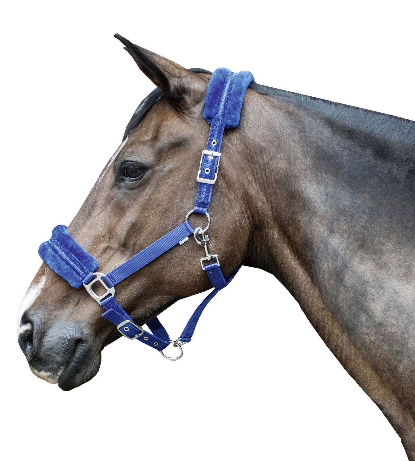Glitter Nylon Head Collar with Polar Fleece - Soft Padded Horse Halter