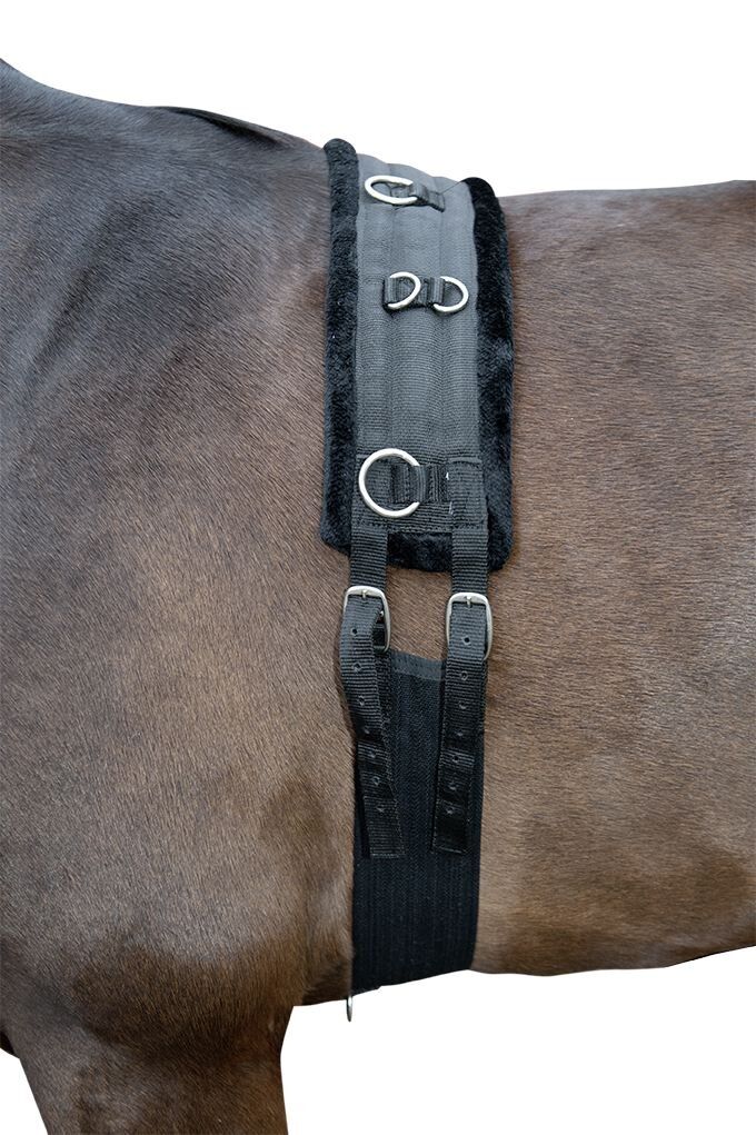 Teddy Lunge Roller for Horses - Lunging Equipment