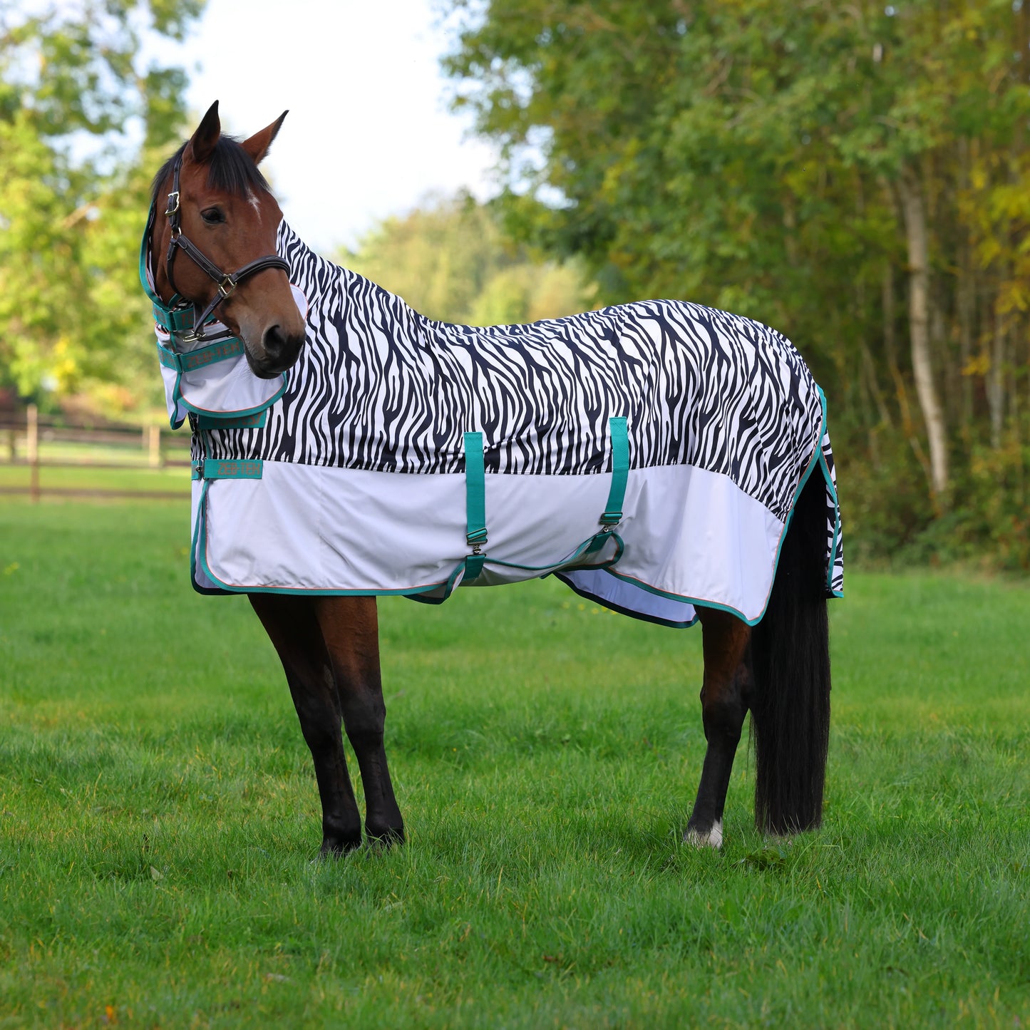 Shires Zeb-Tek Fly Combo Rug - Tempest Original Fly Sheet with Neck