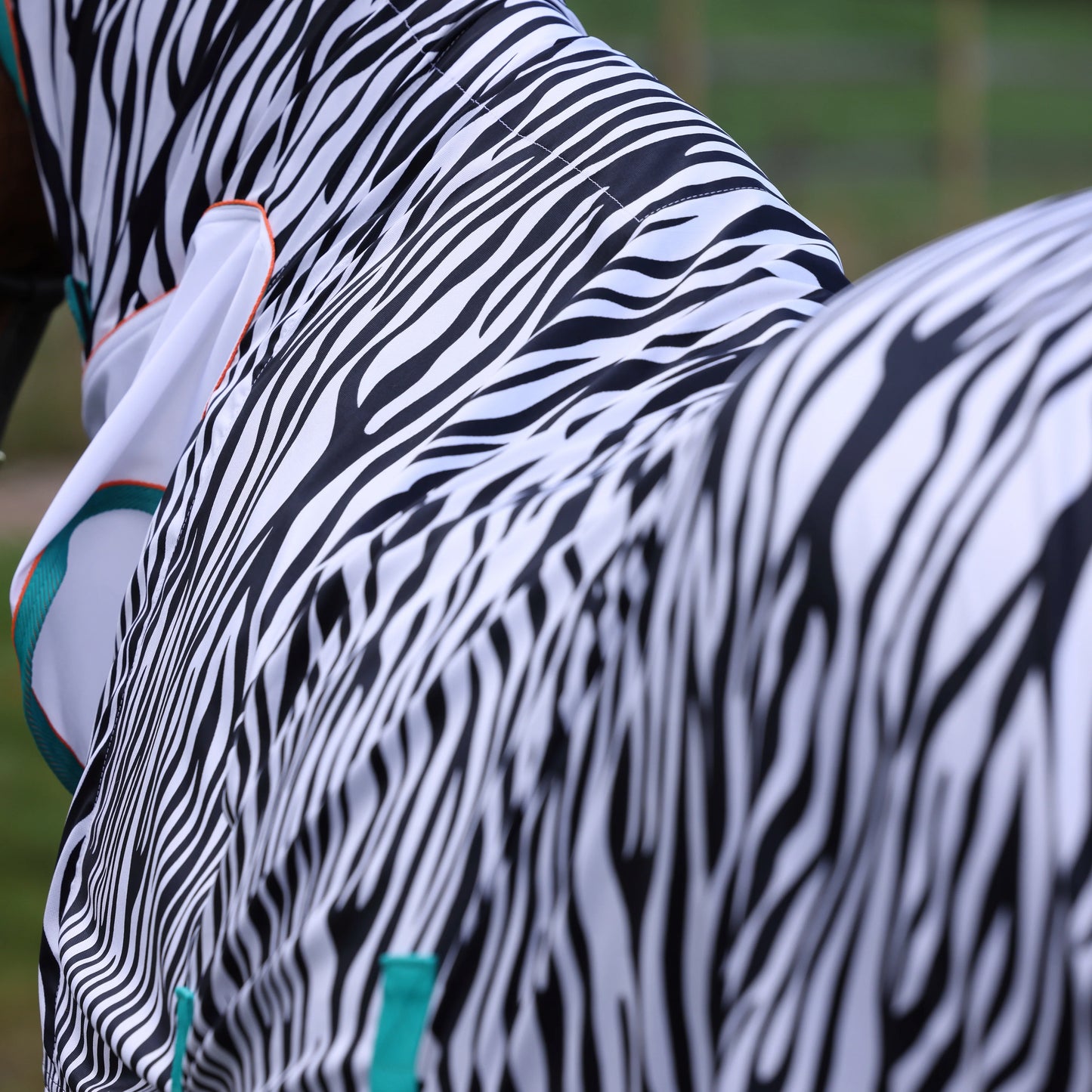 Shires Zeb-Tek Fly Combo Rug - Tempest Original Fly Sheet with Neck