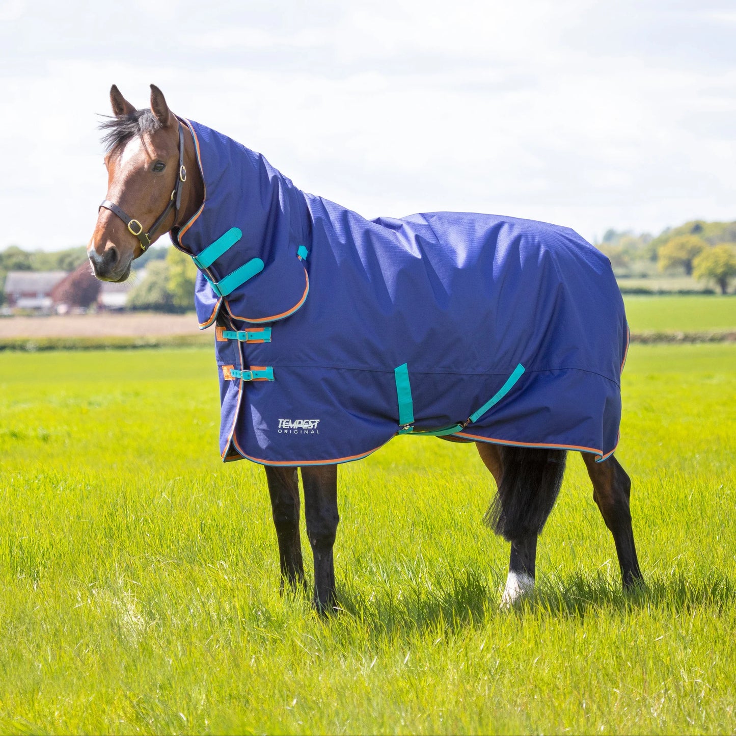 Shires Tempest Original 100 Turnout Combo Rug